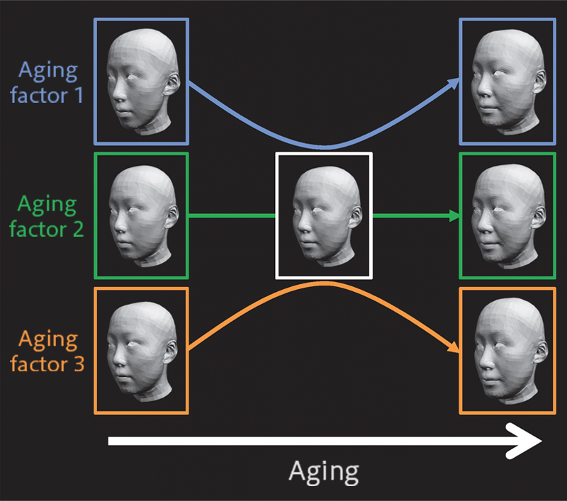 花王 加齢変化を予測する三次元顔形状解析技術