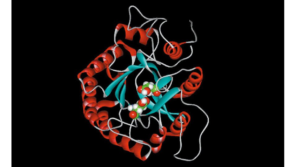 花王 洗剤用酵素の絶えざる革新