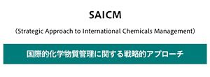 【中古】 化学物質管理の国際的取り組み 花王 | 世界が取り組む化学物質管理（GFC（旧SAICM））