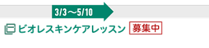 ビオレスキンケアレッスン