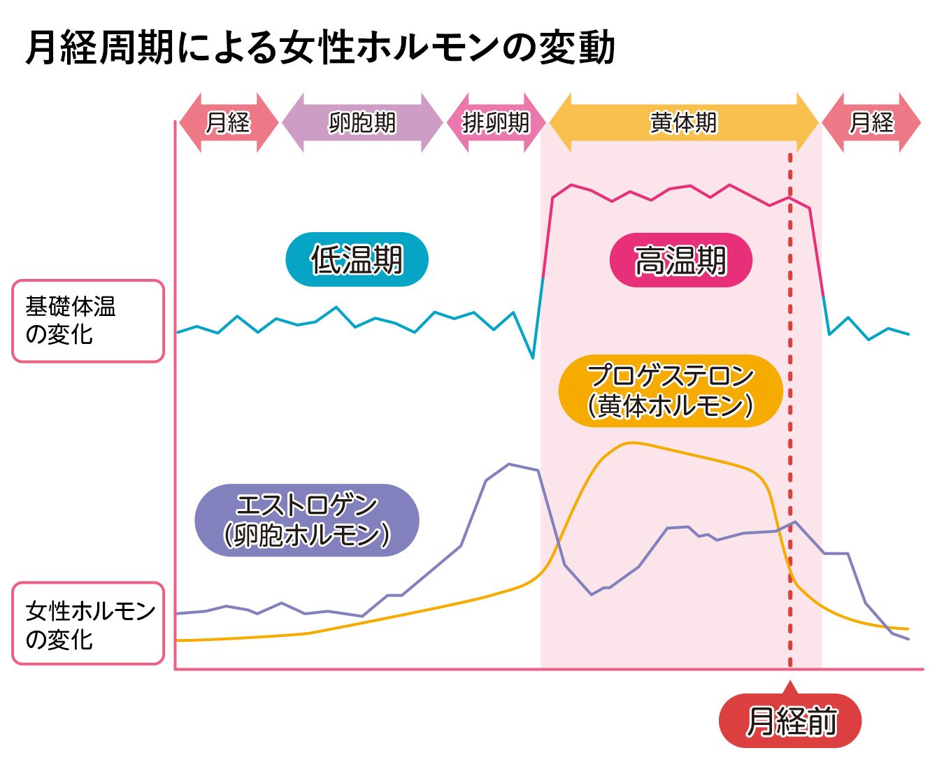 生理 中 トイレ が 近い