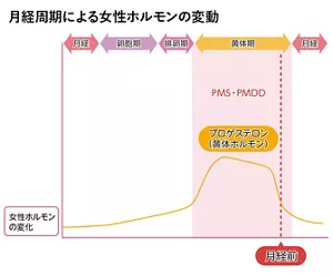 月経周期による女性ホルモン変動のグラフ