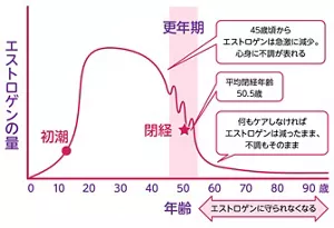 エストロゲン量のグラフ