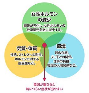 更年期に不調が起きる「3つの要因」。①女性ホルモンの減少：卵巣が老化し、女性ホルモンの分泌量が急激に減少する。②気質・体質：性格、ストレスへの体制、ホルモンに対する感受性など。③環境：親の介護、夫・子との関係、仕事の負担・職場の人間関係など。①②③が重なると特につらい症状が出やすい。