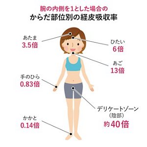 腕の内側を1とした場合のからだ部位別の経費吸収率。あたま3.5倍。ひたい6倍。あご13倍。手のひら0.83倍。かかと0.14倍。デリケートゾーン（陰部）約40倍。