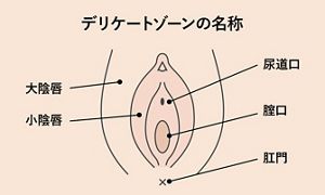 デリケートゾーンのかゆみ・におい・尿もれ対策。更年期のGSM予防にも 【専門医が解説】 | フェムケアお役立ち情報 オトナ女性のための基礎知識 |  尿もれに悩むオトナ女性に。FemCare LAB | 花王