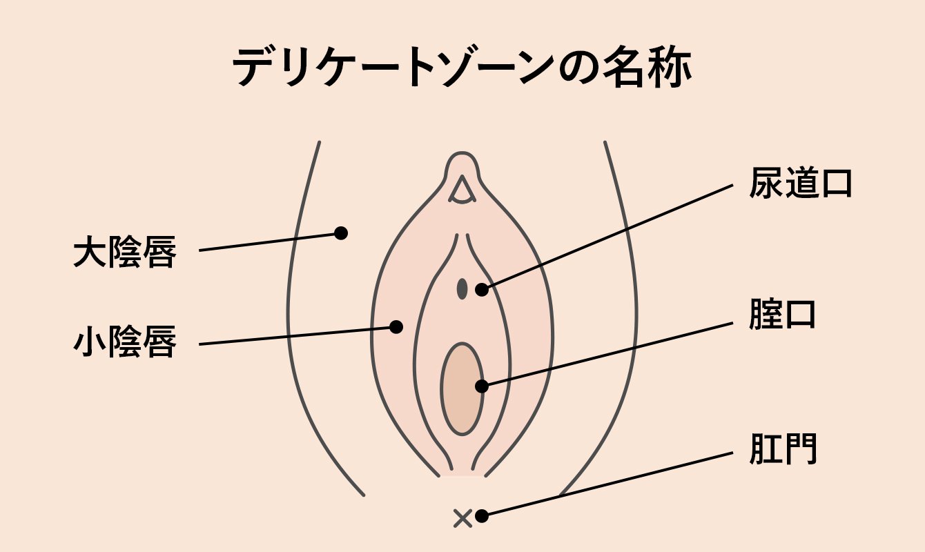 女性器　尿道口 デリケートゾーンのかゆみ・におい・尿もれ対策。更年期のGSM予防にも 【専門医が解説】 | フェムケアお役立ち情報 オトナ女性のための基礎知識 |  尿もれに悩むオトナ女性に。FemCare LAB | 花王