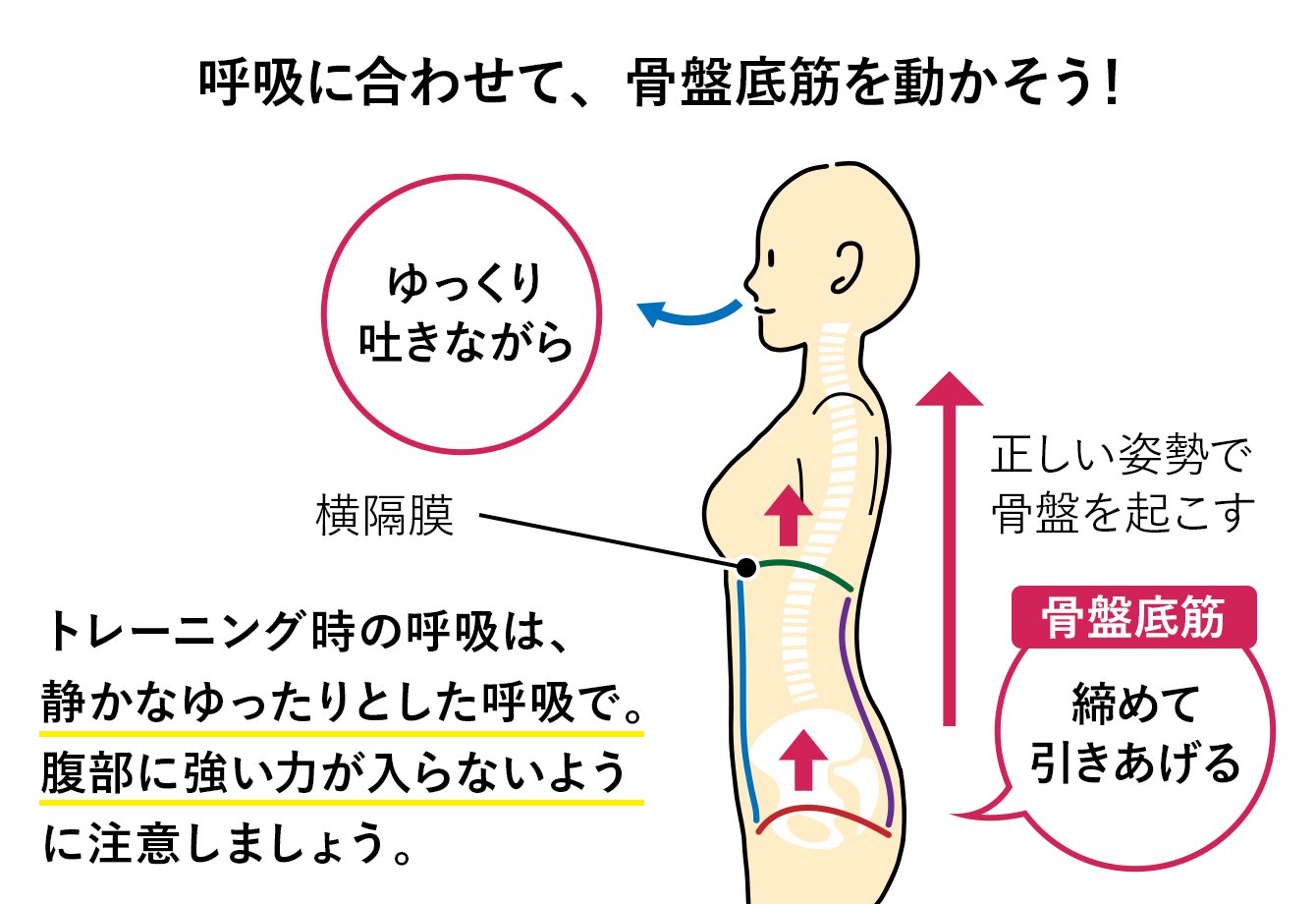 pc 筋 鍛え 方