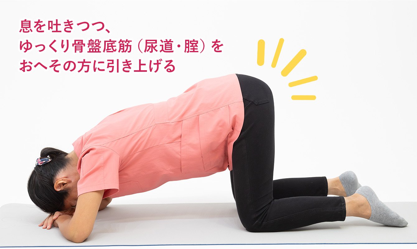 締め方がわからない！骨盤底筋トレーニングを正しくマスターして、尿も 
