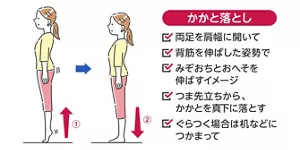 かかと落としのイメージ。両足を肩幅に開き、背筋を伸ばした姿勢で、みぞおちとおへそを伸ばすイメージ。つま先立ちからかかとを真下に落とす。ぐらつく場合は机などにつかまって。