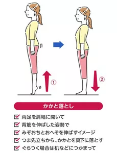 かかと落としのイメージ。両足を肩幅に開き、背筋を伸ばした姿勢で、みぞおちとおへそを伸ばすイメージ。つま先立ちからかかとを真下に落とす。ぐらつく場合は机などにつかまって。