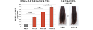 img-02-lg_2410
