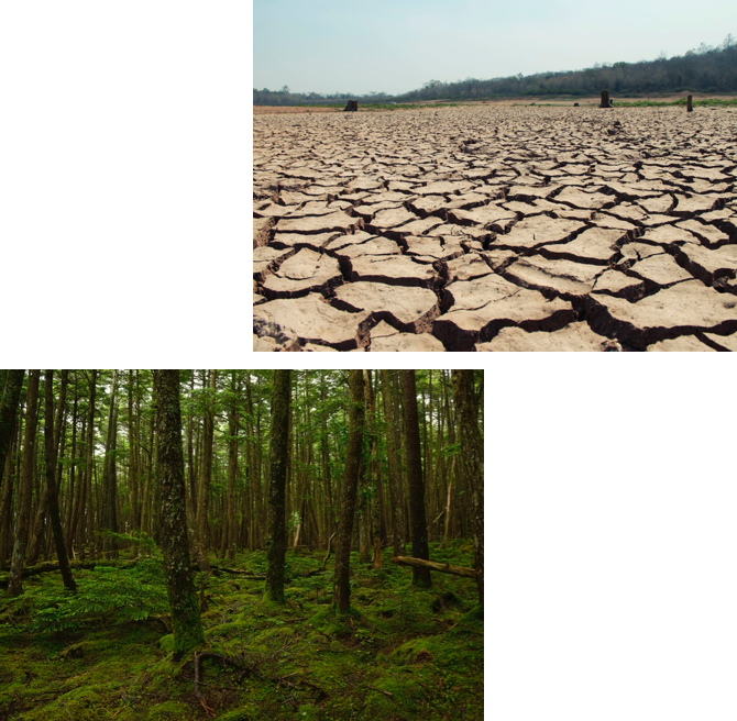 頭皮のキホンと年齢変化 効果的な洗浄のコツ 頭皮のキホンと年齢変化 効果的な洗浄のコツ