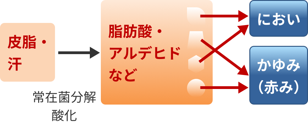 頭皮のキホンと年齢変化 効果的な洗浄のコツ 頭皮のキホンと年齢変化 効果的な洗浄のコツ