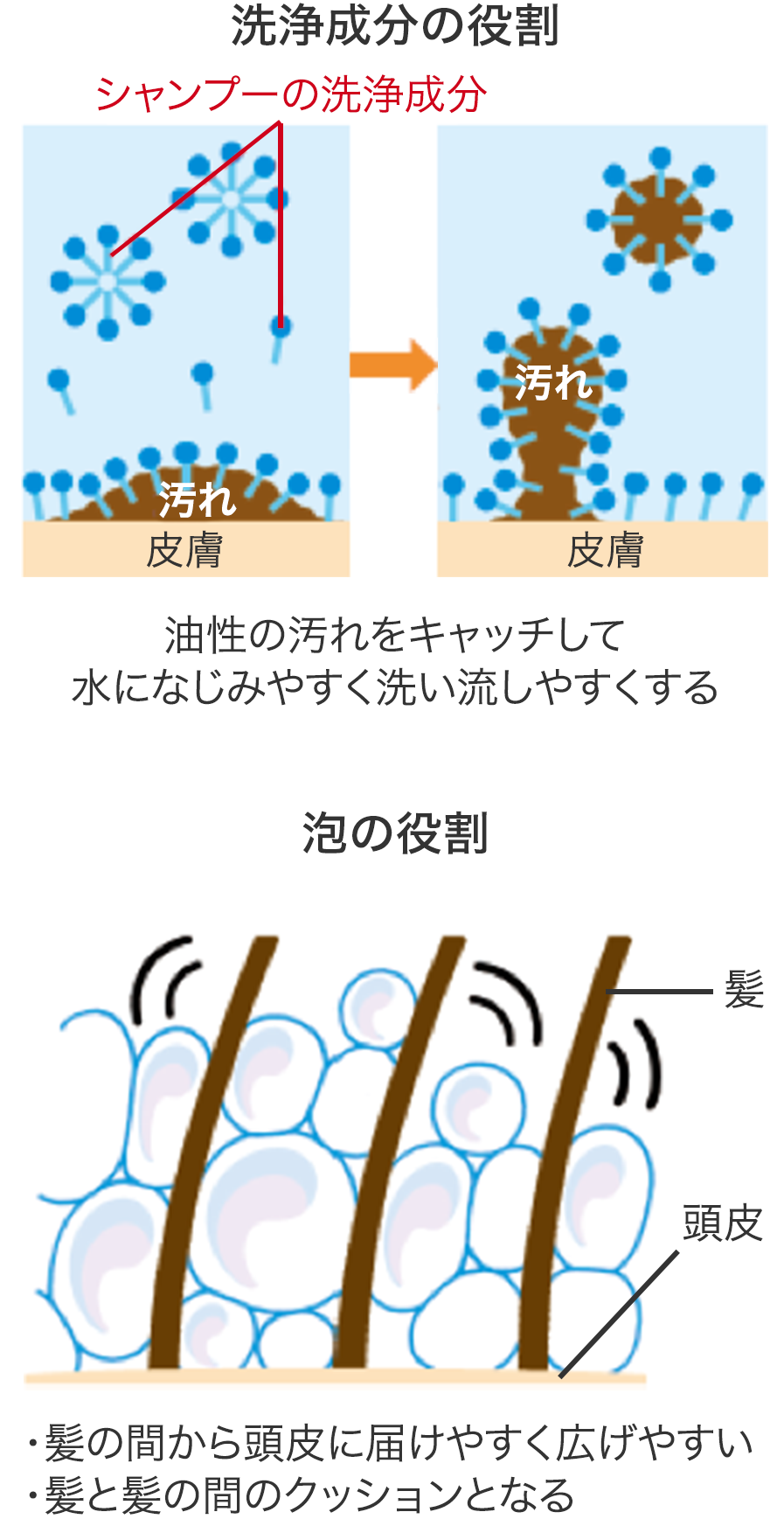 頭皮のキホンと年齢変化 効果的な洗浄のコツ