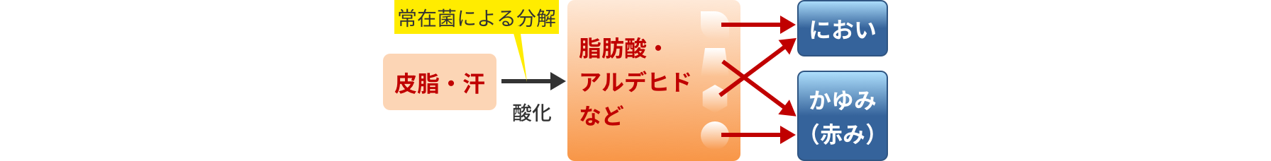image-2104-01-l
