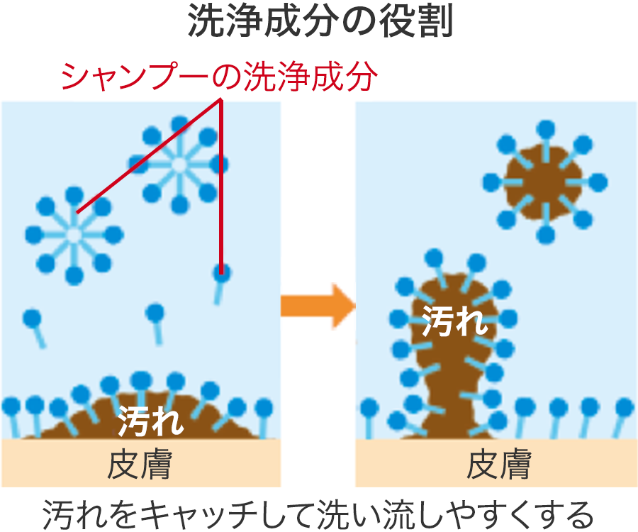 シャンプー 髪と頭皮のお手入れ 花王株式会社 ヘアケアサイト