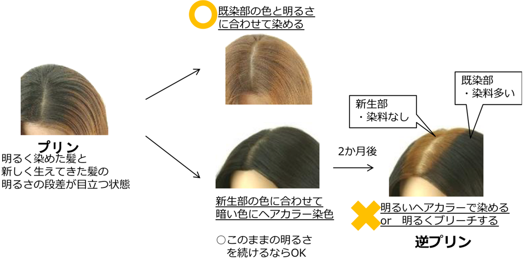 0以上 プリン ヘア カラー インスピレーションのための髪型画像 Kamigatapepper