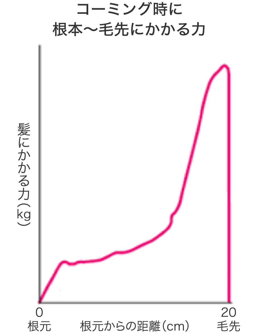髪と頭皮のお手入れ10か条 髪と頭皮のお手入れ 花王株式会社 ヘアケアサイト