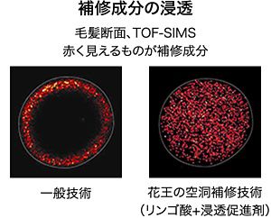 トップ トリートメント 内部 補修