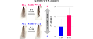 img-02-lg_2409