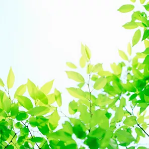 花王健康科学研究会