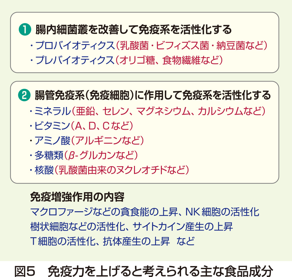 花王 花王健康科学研究会 免疫力向上と食品 腸管の重要性