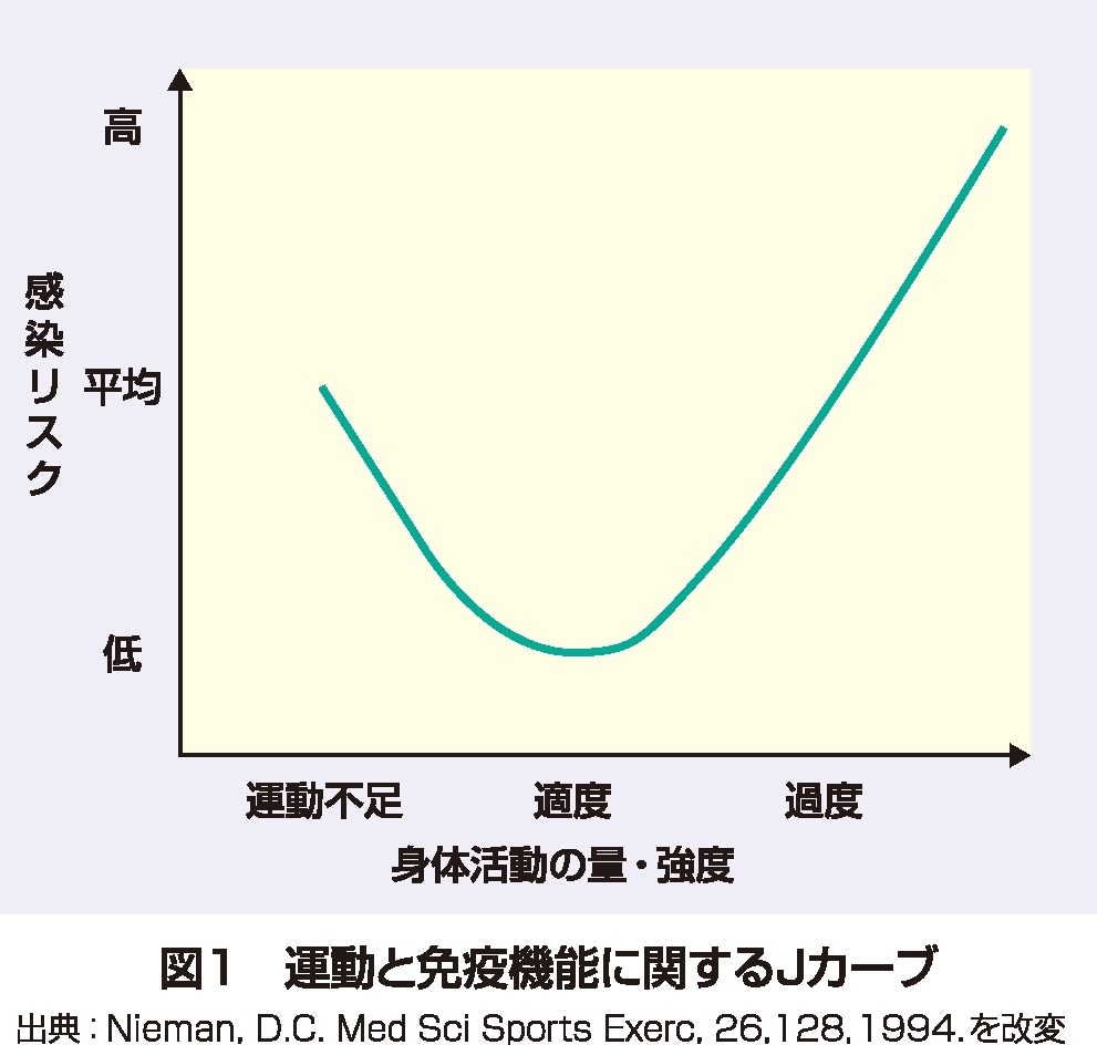 花王 花王健康科学研究会 適度な運動で免疫力向上