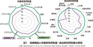 花王 | 花王健康科学研究会 | 高齢期の口腔機能と栄養の関係