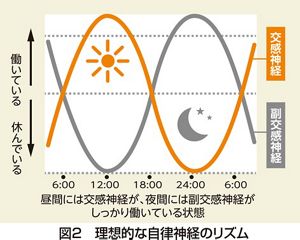 生体律動調整法 生体律動調整法 茂木 昭 著