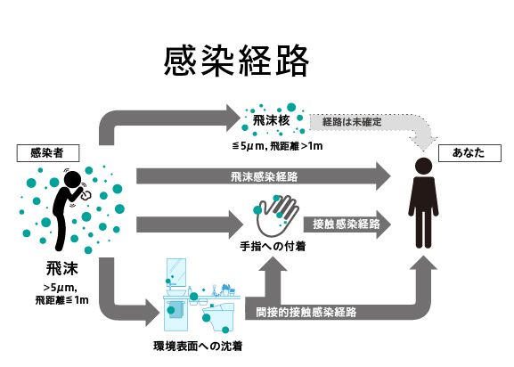 感染経路