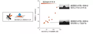 様々な表面張力の値を示す界面活性剤水溶液の、蚊の羽の基板上での接触角を示すグラフとその液滴の様子を示す写真。 表面張力低下能の高い界面活性剤ほど、蚊の表面をよく濡らすことができるという結果を示す。