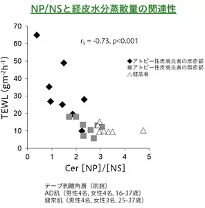 セラミドNPとセラミドNSの存在比（Cer[NP]/[NS]）と、経皮水分蒸散量TEWLの関連性です。TEWLが高い皮膚ほど、Cer[NP]/[NS] は低下します。健常者と比較してアトピー性皮膚炎者の皮疹部はCer「NP」/[NS]は低くなる傾向にあります。