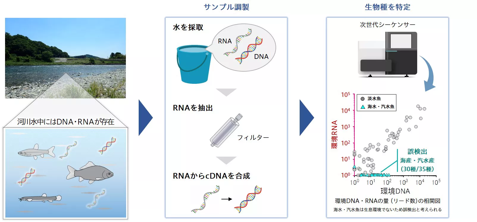 花王 | 環境RNAを用いた生態影響評価