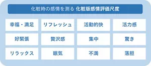 化粧時の感情を測る化粧版感情評価尺度は、幸福満足、リフレッシュ、活動的快、活力感、好緊張、贅沢感、集中、驚き、リラックス、眠気、不満、落胆の12種の感情因子から構成される。