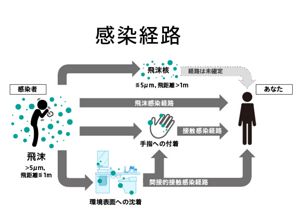 花王 | 感染経路