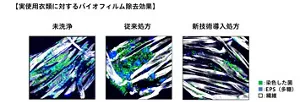 実使用衣類に対するバイオフィルム除去効果、未洗浄、従来処方、新技術導入処方の比較、緑は染色した菌、青はEPS（多糖）、白は繊維、未洗浄と従来処方は同等、新技術導入処方は菌、EPS共に減っている。