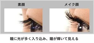 まつ毛を上げることによる効果。まつ毛を上げることにより瞳に光が多く入り込み、瞳が輝いて見える。