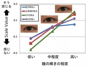 図2：瞳の輝きによる印象変化。瞳の輝きが高まると、顔の印象として「肌が明るい」、「立体感がある」、「ツヤがある」、「彫りが深い」いずれの評価も高くなっている。