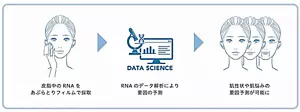 皮脂RNAモニタリングの手順の説明図。皮脂中のRNAをあぶらとりフィルムで採取し、RNAのデータ解析により、肌性状や肌悩みの要因予測が可能になります。