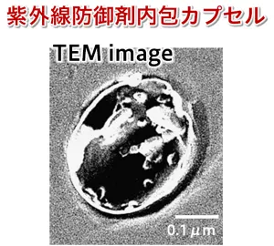 紫外線防御剤内包カプセルのTEM画像。紫外線防御剤を含む油剤がカプセルで包まれている様子を示している。カプセルの大きさは0.2ミクロンほど。