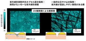 右側は、一般的な日焼け止め製剤を皮膚モデルに塗布してUV顕微鏡で観察した図。紫外線が透過しやすいミクロンレベルの隙間があることが確認できる。それに対して、左側は、紫外線防御剤内包カプセル配合製剤を皮膚モデルに塗布してUV顕微鏡で観察した図で、隙間が無い均一な紫外線防御膜が形成されていることが確認できる。