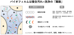 バイオフィルムには菌そのものだけでなく、菌が外に出している多糖、タンパク質、DNA、さらに脂質や無機イオンなど、多種多様な物質が含まれる「洗浄が難しい複合汚れ」だ。