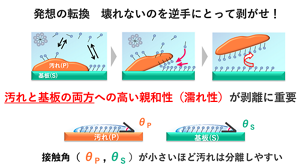 分解が難しいバイオフィルムを、そのまま剥がすことで除去することを目指して、バイオフィルムと義歯の両方とよく馴染む界面活性剤を探した。
