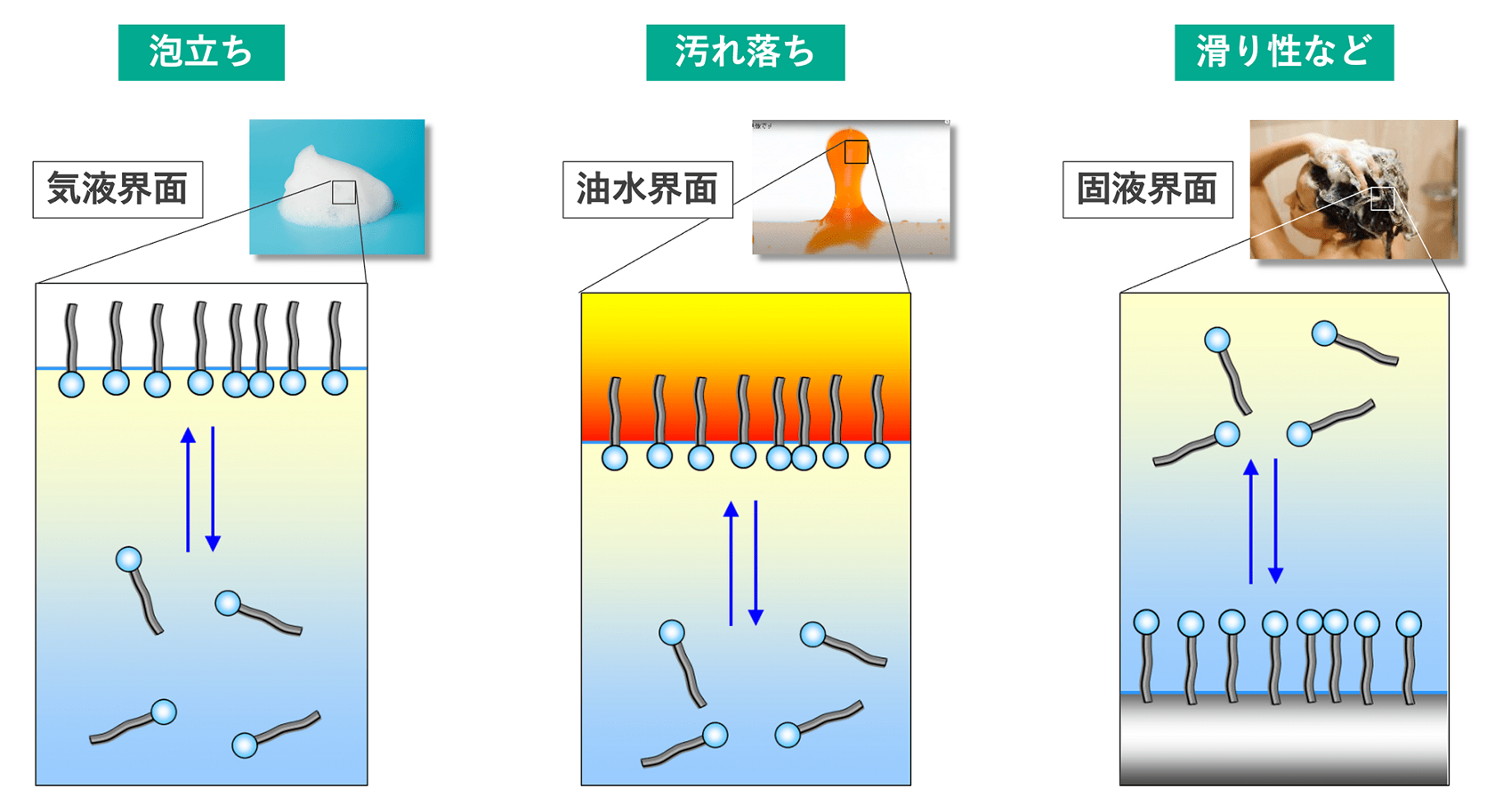 花王の顔｜「SDGs時代の洗浄剤」バイオIOSに見る花王の本気 ～化学の力