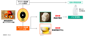 開発チームは、パーム油を食用に採取したあとに残る固体状の油脂に目を付けた。これなら、食用と競合しにくいし、工業用の用途に限られていてあまり使われていない。