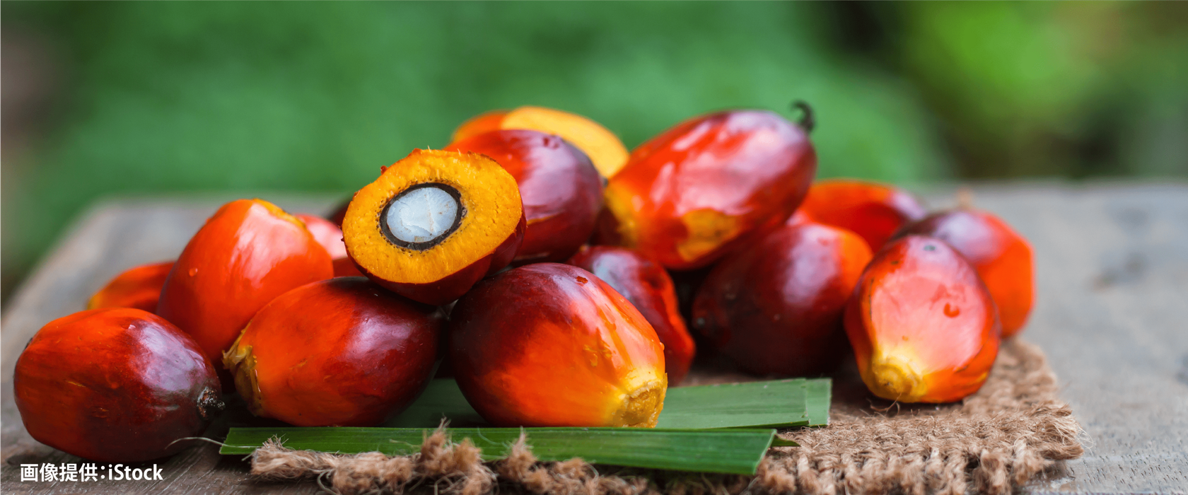 花王の顔｜近い将来、洗濯ができない未来がやってくる…？「洗浄の危機