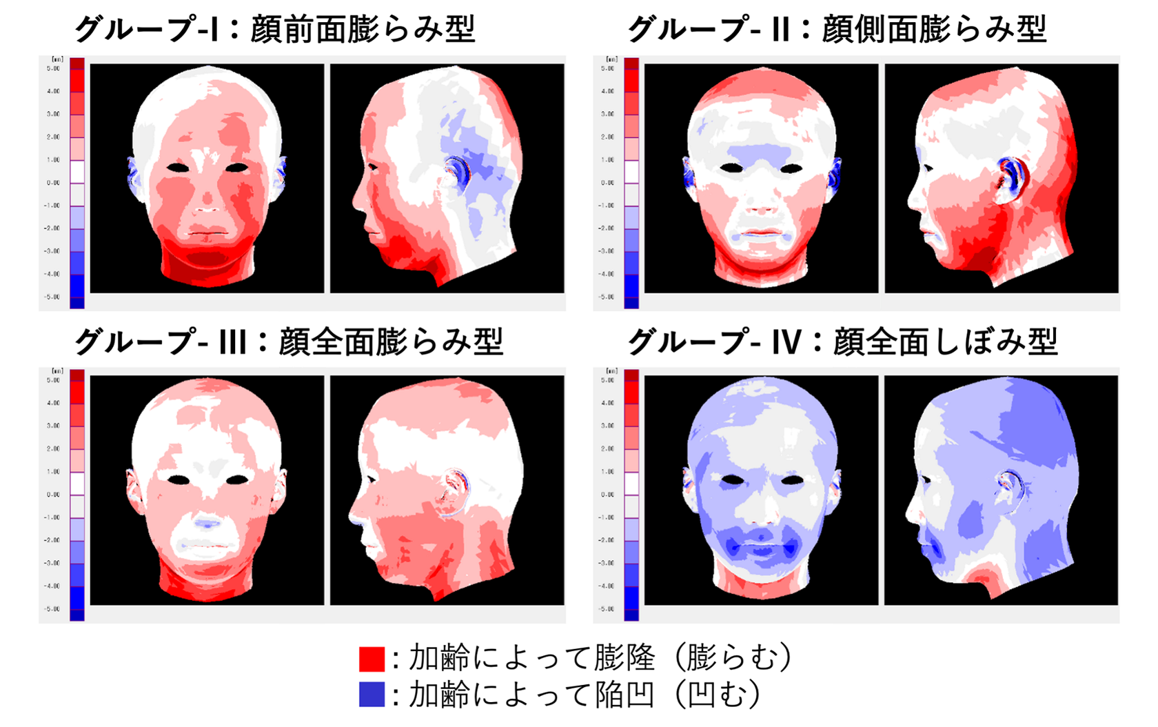 花王の顔 若々しい ってどんな顔 形 と 心 の秘密を探る