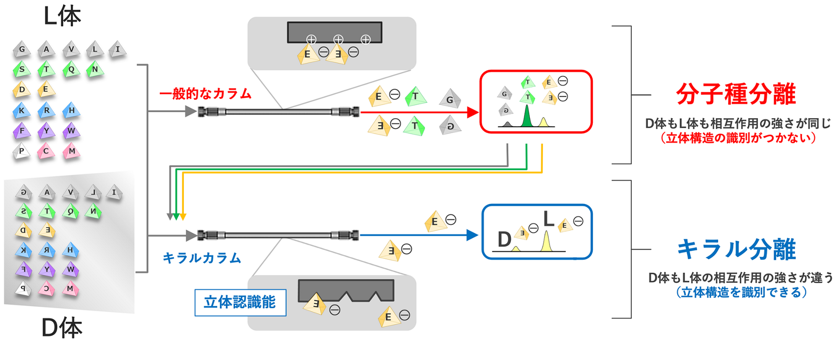 花王の顔 難攻不落のd アミノ酸分析 発想の転換で突破口を開く キラル に挑んだ分析屋 後編
