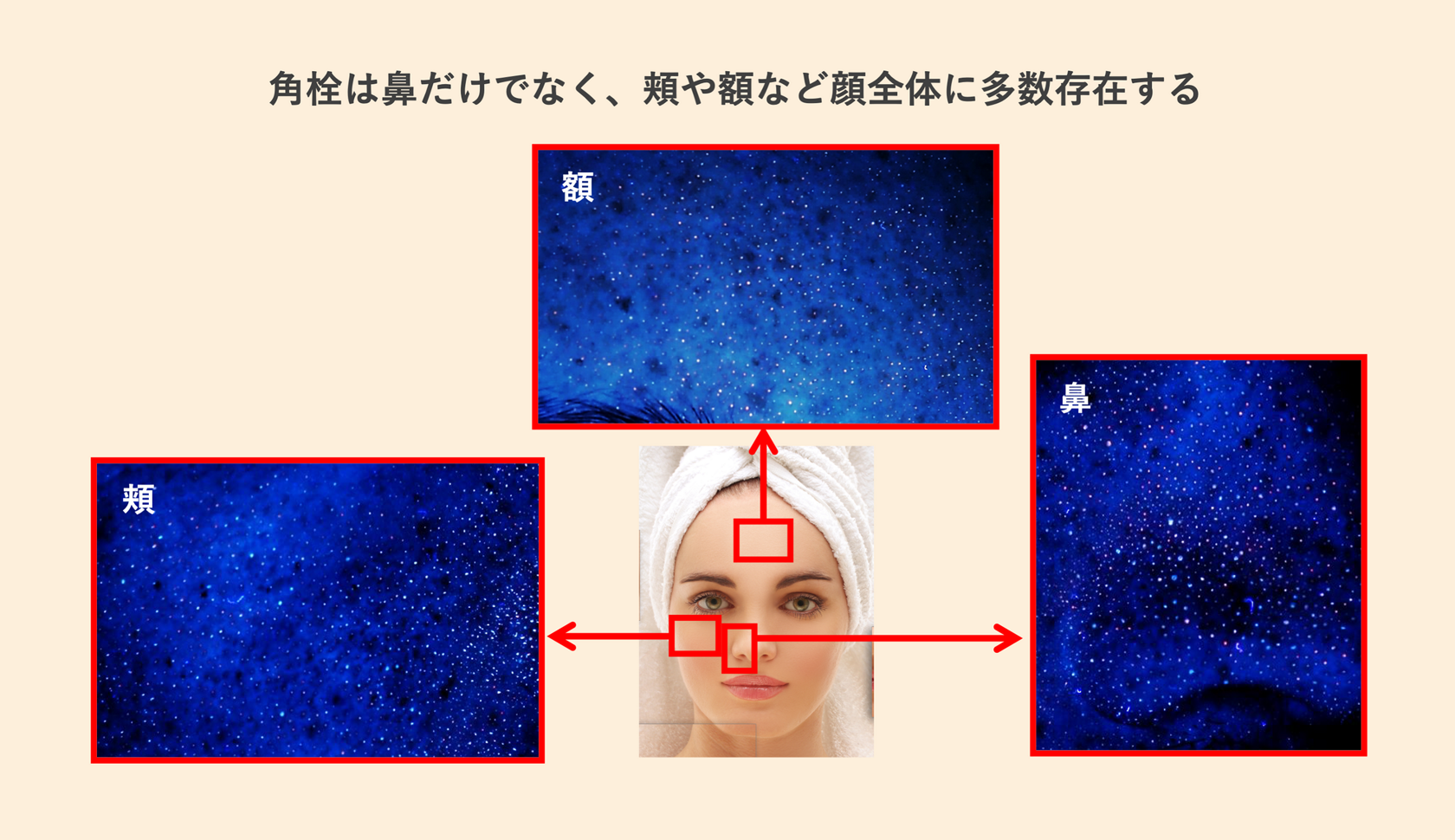 花王の顔 なぜ角栓は落ちないのか スキンケア研究員が暴く驚きの実態